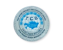 Серебряная награда